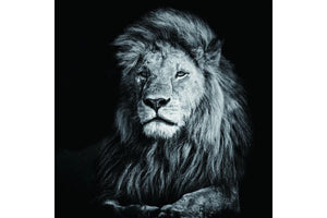 Beautiful Lion Romeo - Order Only-Adore Home Living