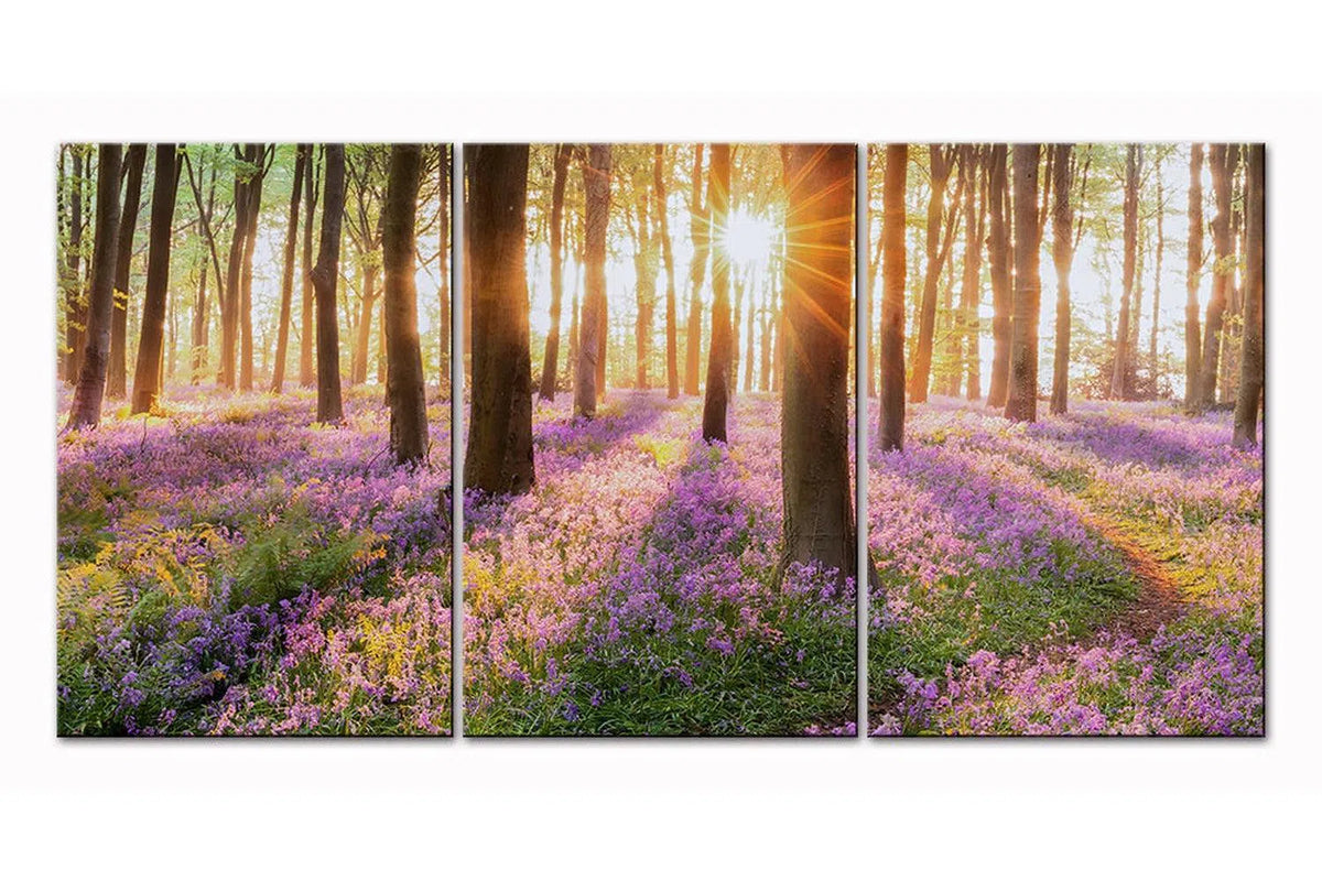 Blue Bell Forest in Spring - Clearance-Adore Home Living