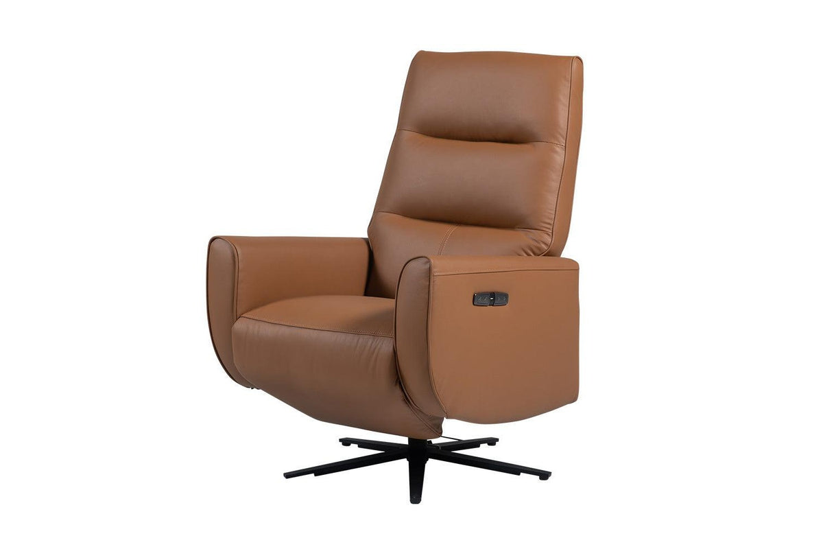 Fernsby Leather Recliner Chair