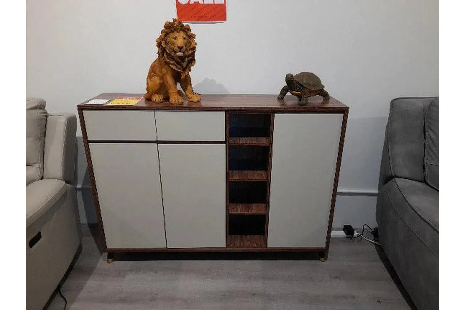 Gray 2025 shoe cabinet