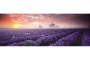 Lavender Field - Order Only-Adore Home Living