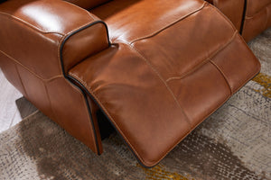 Nelson Electric Recliner detail