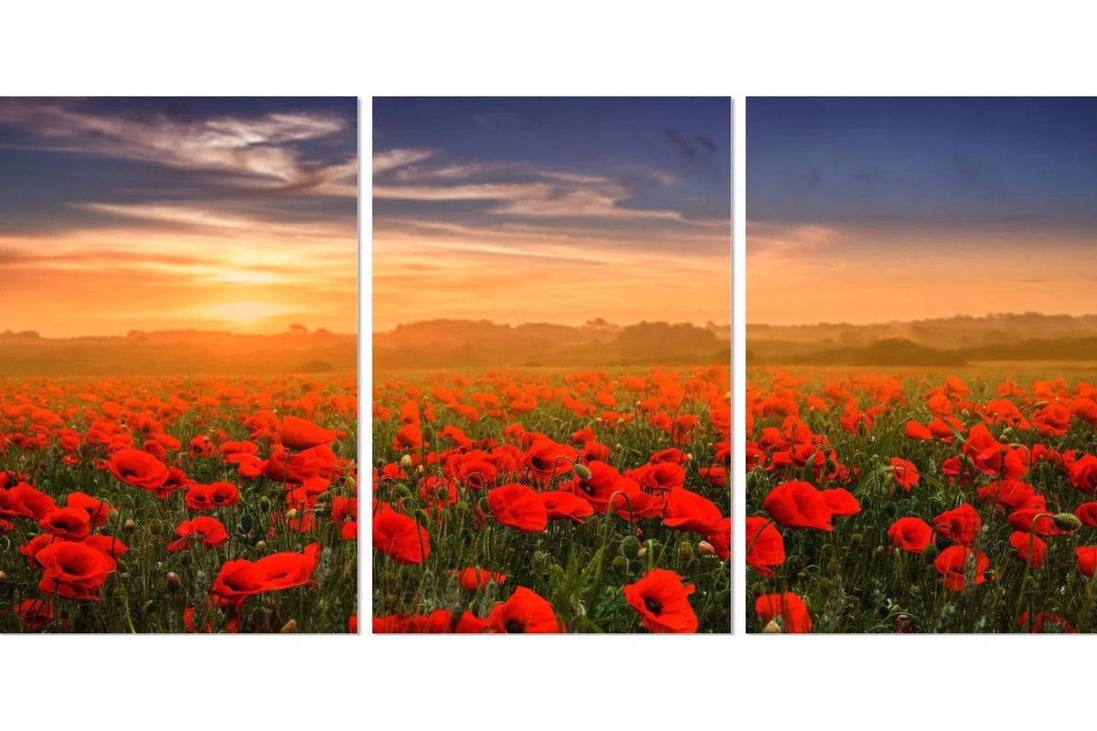 Poppy Field - Order Only-Adore Home Living