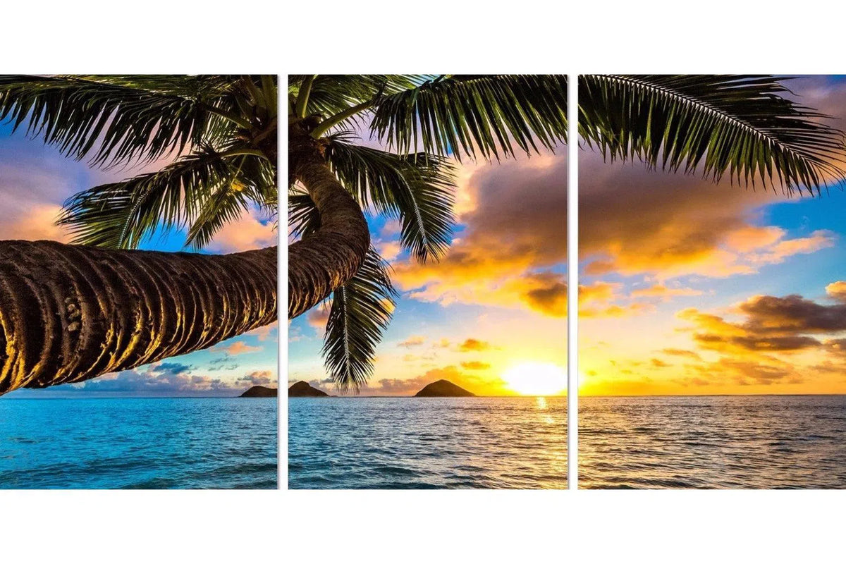 Sunset Beach Coconut Tree - Order Only-Adore Home Living